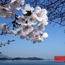 (주)푸른바다 뉴시스