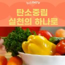 대구 수성구청 ‘채식의 날 운영’“탄소중립 실천 함께해요!” 뉴스114 이미지