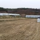 하나로농장-2 이미지