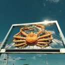 수산시장 이미지