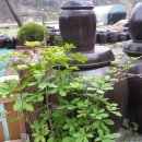 다리골가든 이미지