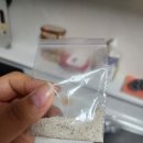 홍성닭집 이미지