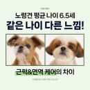 바이유어펫(주) | 닥터바이 초유 단백질 강아지 근력개선 영양제, 면역력 펫밀크 30개입 사용 후기