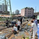 용수 농장 이미지