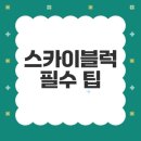 플레이블럭 이미지