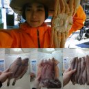 주희네수산 이미지