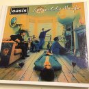 오아시스(Oasis) 이미지