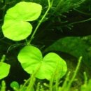 유경통상 이미지