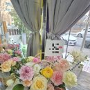 대전둔산꽃집비올레뜨