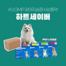 속편한동물약국 이미지