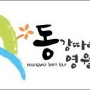유짱식당 Daum카페