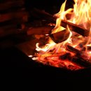 카패밀리 이미지