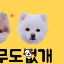 아무도없개 이미지