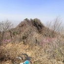 지장산 등산로 이미지