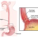 소화가정의학과의원 이미지