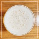 에스텔세계맥주 | [맥주] 스페인 맥주 에스텔라 담 바르셀로나, 스페인 맥주 종류 추천