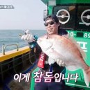 사월의초밥
