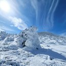 사촌리2 소교량 9 | 의성 가볼만한곳 베스트10 12월 겨울 경북 의성 당일치기 여행코스