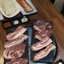 돌리고 제주도야지 이미지