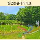 농촌테마파크 농경문화전시관 | 용인 꽃놀이와 피크닉에 좋은 나들이 명소! 용인농촌테마파크