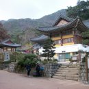 동학사 이미지