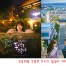 동백꽃필무렵 - 서귀포시 | 동백꽃필무렵
