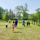 더 웰빙푸드