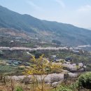 수함요새 이미지