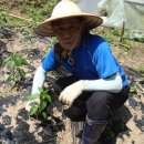 수목원농장 이미지