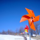 하얀목장 이미지