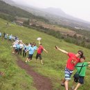 삼부스포렉스 이미지