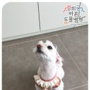 경희궁 바른 동물병원 이미지