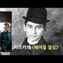 카프카의 ＜변신＞과 박찬욱 ＜헤어질 결심＞ - 김진영, 카네티, 아도르노의 해석｜5분뚝딱철학 22.07.11 이미지