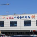 영창 | 서산 맛집 l 삼길포 횟집 찐 단골 예약! 포장부터 서비스가 미쳤던 영창호수산 후기