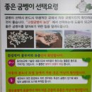 예인광고기획