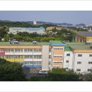 장생포초등학교 이미지