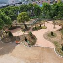 동곡초등 이미지