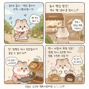 네모랑빵이랑 | 화정동 동네빵집 🍞 '네모랑 빵이랑' 내돈내산 후기