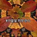 진선미피부 이미지