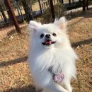 털로덮인친구들(키녹점) 이미지