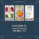 타로로 읽는 하루 이미지