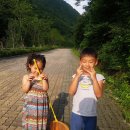 함백농장 | 2017년의 강원도 고랭지 옥수수 마지막 주문입니다. [월동준비]