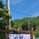 무릉도원면-24 이미지