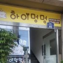 하이멍멍 이미지