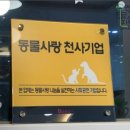 원두네 멍냥백서 이미지