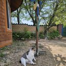 시인의뜰펜션 이미지