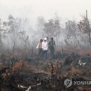 연무농장 이미지