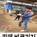 솔미축사 네이버블로그