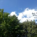 청룡동-16 이미지