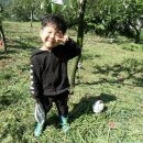 지환농장 이미지